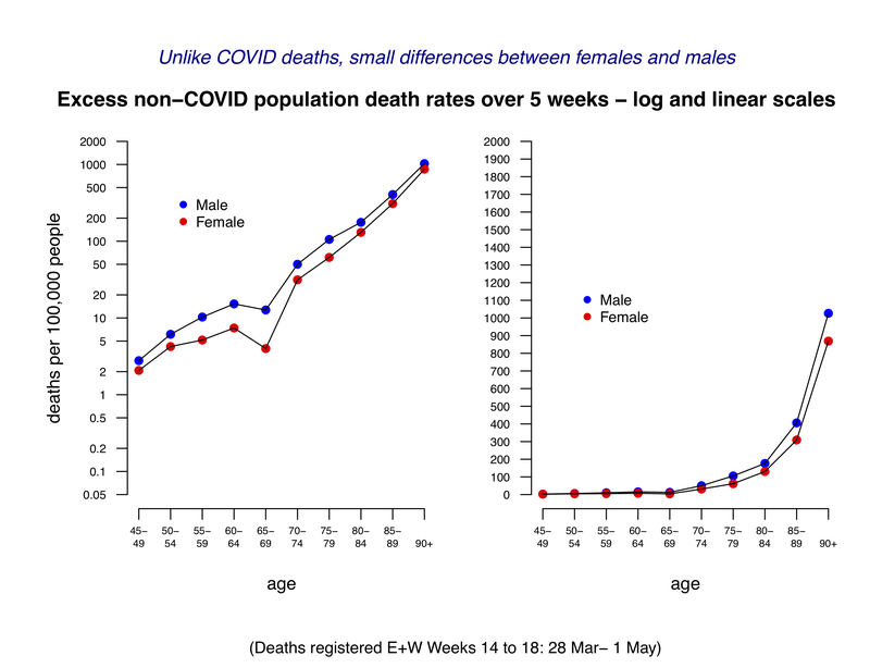 excess-non-covid-rates.png